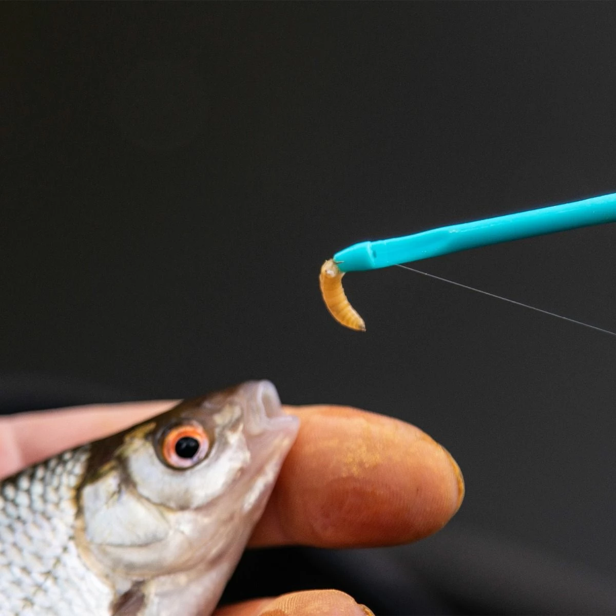 Drennan Match Disgorger Aqua Terminal Tackle 2 Drennan Match Disgorger Aqua Terminal Tackle - Image 2